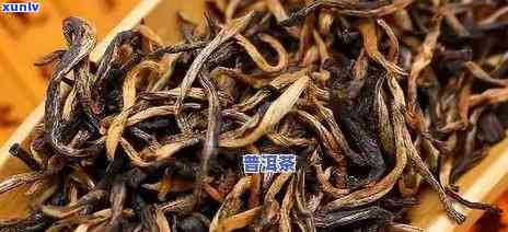 金盏茗茶1000:源自云南的一叶特级普洱茶，品质与价格的完美结合