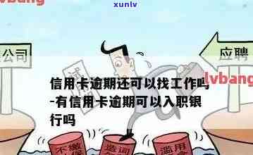 信用卡逾期找什么工作