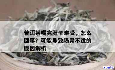 喝普洱茶可能导致的肠胃不适及如何解决这个问题的建议