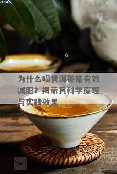 普洱茶提神作用的科学解析与实际效果体验分享