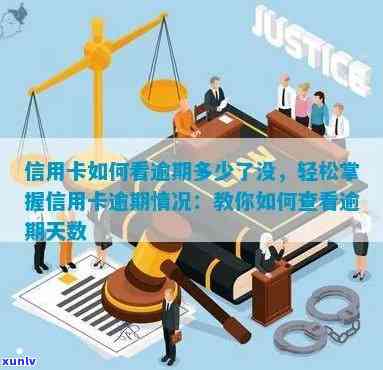 信用卡逾期天数查询全攻略：详细步骤与实用建议