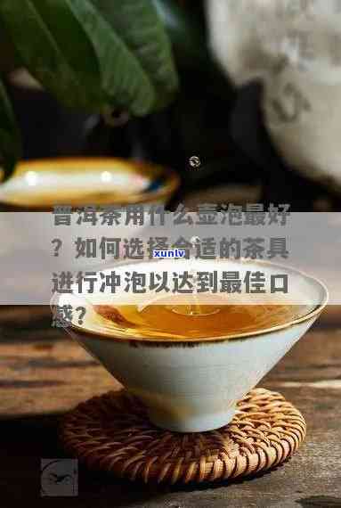 探究普洱茶冲泡之道：如何选择的茶具？