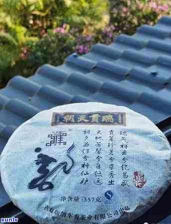 铜箐河普洱茶多少钱