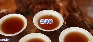 参和普洱茶一起泡