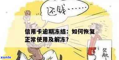 逾期后信用卡被冻结怎么办？全面解冻指南助你轻松恢复使用！