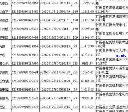 州市全面失信人员名单：涵欠债、违法等各类情况的详细解析