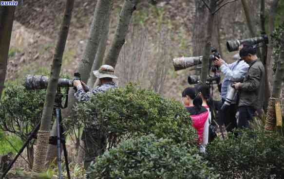 贵阳翡翠加工厂位置及进货渠道