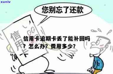 已经逾期的信用卡丢了还能补卡吗？费用是多少？