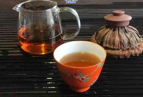 和普洱茶能一起煮