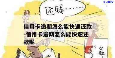 信用卡逾期丢了怎么还款