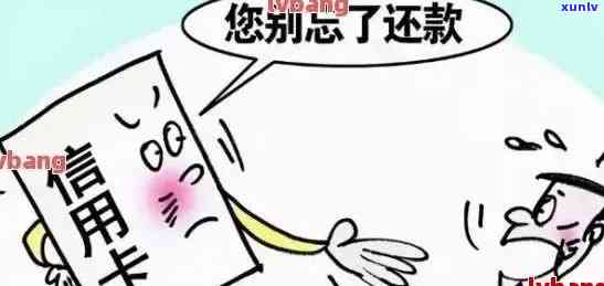 喝时能否喝熟普茶？女性、女生、女人在服用期间是否可以喝熟普洱？