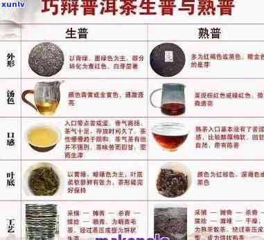 普洱茶价格解析：全面了解普洱茶的各种价位与品质