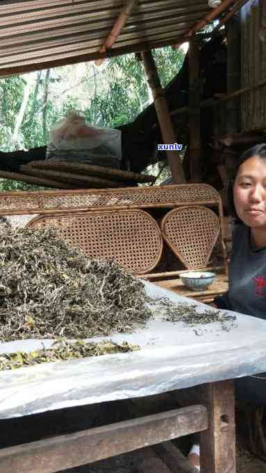 普洱茶三年一线小转