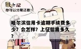 哈尔滨信用卡逾期不良记录