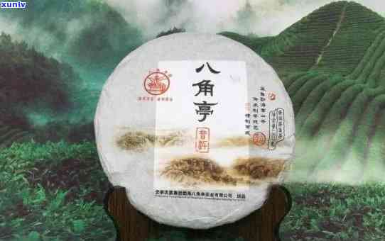 老同志与八角亭：普洱茶中的两种独特味道对比