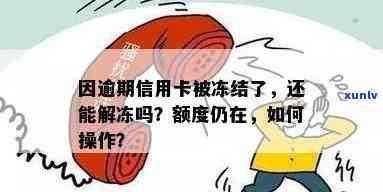 逾期了信用卡：额度为零、被冻结、积分还能用吗？如何解封和激活？