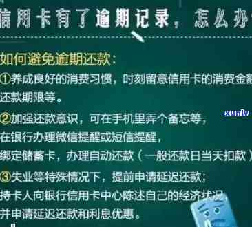 信用卡欠款是否会影响驾驶证？解答关于信用记录和驾驶证的关联问题