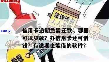 信用卡还款神器推荐：哪些逾期软件能帮助您轻松管理信用资讯？