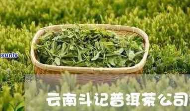 天宝祥茶业公司：专注于创新茶叶与独特加盟模式的领先者