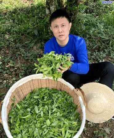 十多年的熟普洱茶饼价值与口感：完好保存的价值及可饮用性