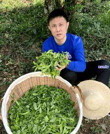 十多年的熟普洱茶饼价值与口感：完好保存的价值及可饮用性