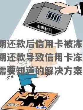 逾期后信用卡被冻结的解决策略：实用 *** 与步骤解析