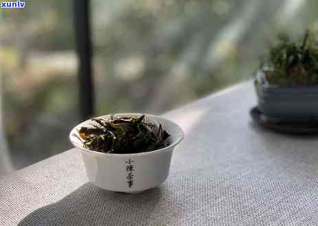 泡普洱茶一般多少量