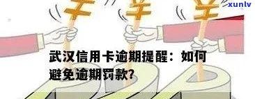 信用卡逾期后如何处理？武汉公积金贷款攻略与解决 *** 大揭秘！