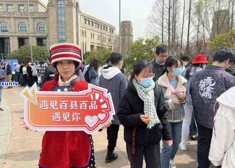 三明地区普洱茶每克价格分析及市场行情一览