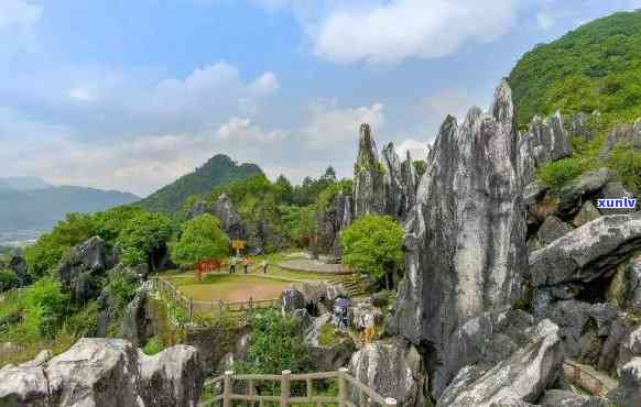 探索贺州独特的自然奇观：石林风景区，不可错过的旅游攻略