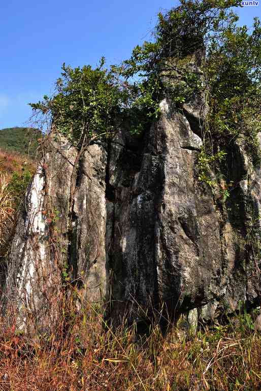 贺州玉石林景区旅游指南：如何游览、门票价格、住宿和交通信息一应俱全