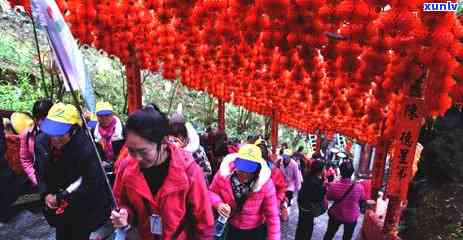 贺州玉石林景区旅游指南：如何游览、门票价格、住宿和交通信息一应俱全