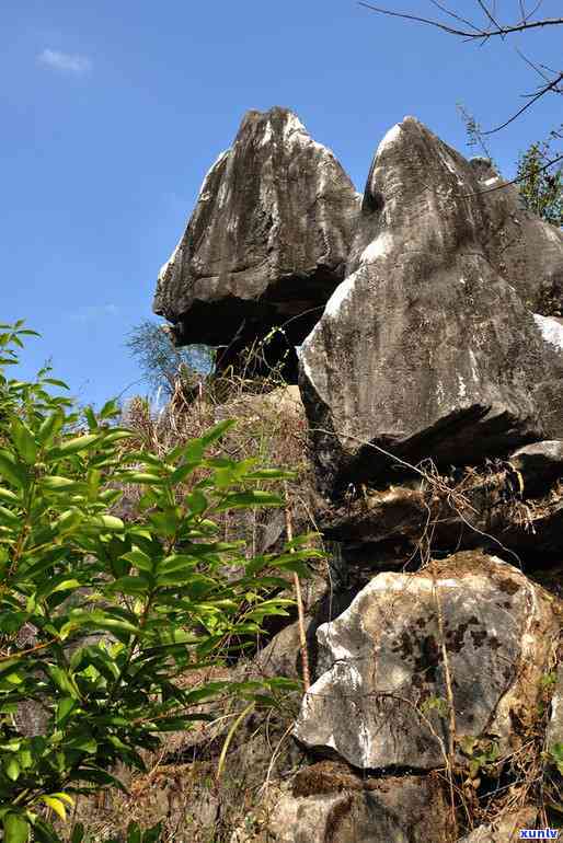 贺州玉石林景区旅游指南：如何游览、门票价格、住宿和交通信息一应俱全