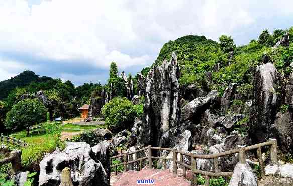 贺州的玉石林景点