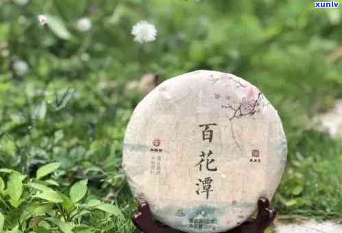 御润祥百花潭普洱茶：品鉴名茶，领略千年古树的独特韵味