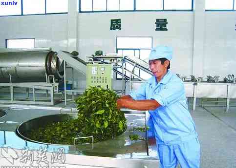 武汉市金大福茶叶厂：位于武汉市的优质普洱茶生产基地