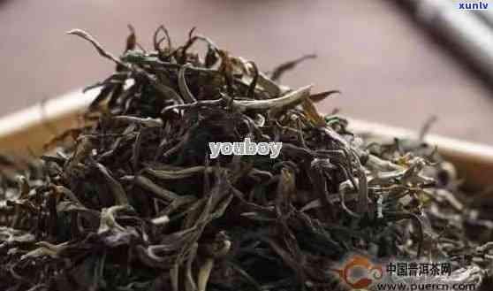 两年的普洱茶多少钱一斤？两年普洱茶的价格分析与品鉴