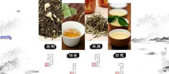 一品堂普洱茶官方网站：探索普洱茶的魅力、品质与泡法，助您成为专业茶艺师