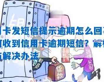 收到短信提醒信用卡逾期，如何应对信用问题与处理 *** 