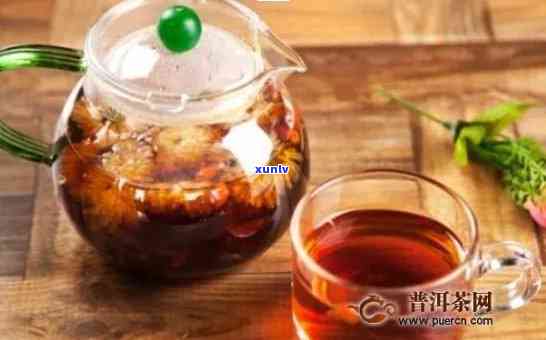 菊花与普洱茶的搭配泡饮：适宜性、效果与注意事项