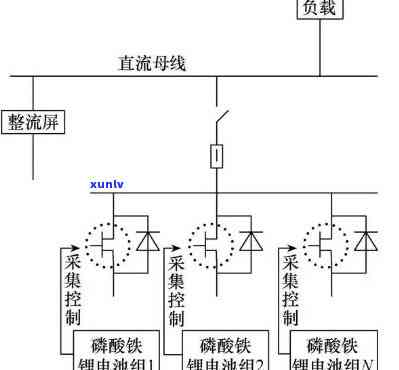 普洱茶中的黄曲霉素：安全性分析及其对健的影响