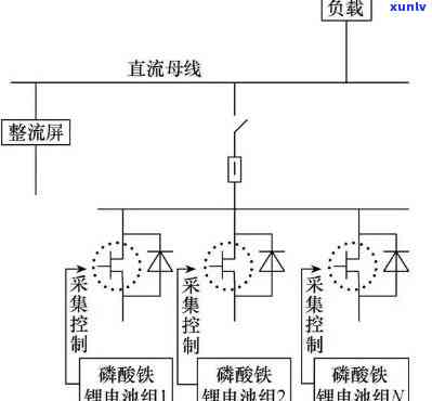 普洱茶中的黄曲霉素：安全性分析及其对健的影响