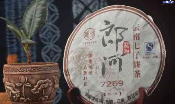 郎河普洱茶哪一款好