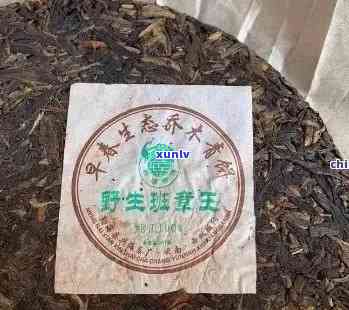 云南普洱茶一元每斤？这是真的吗？品质如何？哪里可以购买？