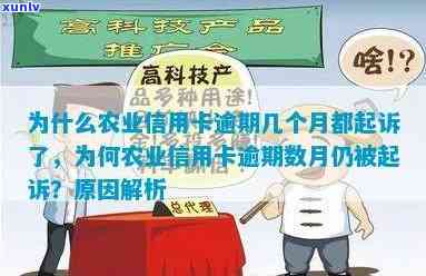 农业银行信用卡逾期数月未还款，最被起诉的原因分析