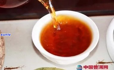 探究新熟普洱茶的冲泡次数及其口感变化