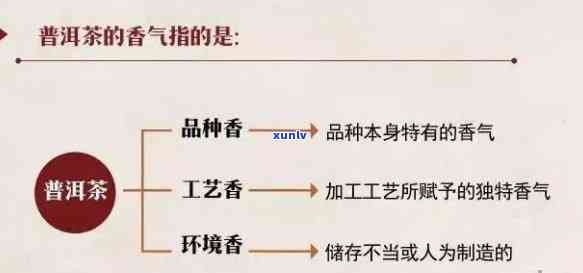 探究普洱茶独特的香气来源及其与其他茶类的区别