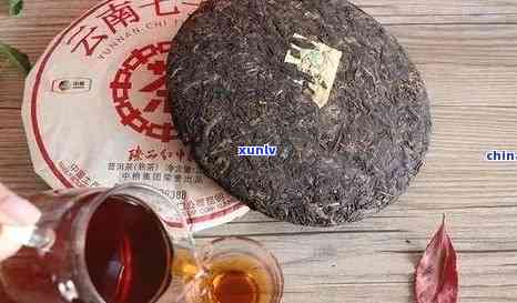 普洱茶饼价格分析：三百元一饼的两百三饼茶是否具备收藏价值？