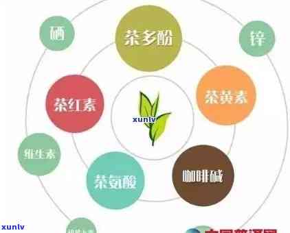 维生素B族与普洱茶：协同作用与健益处详解