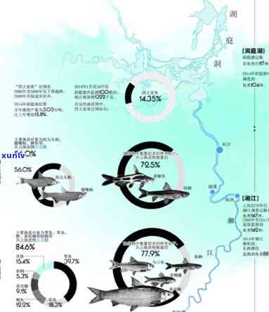 资江河的鱼类资源及其增殖放流策略